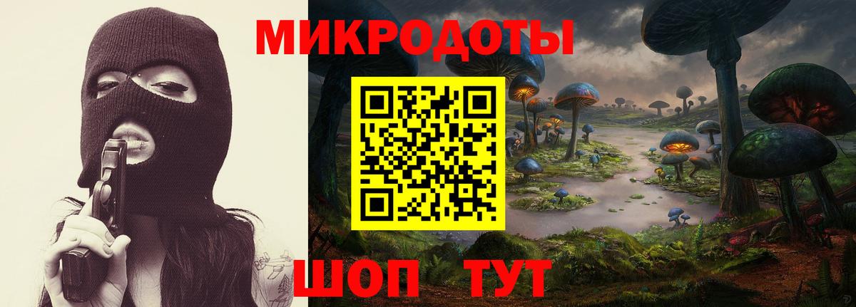 Псилоцибиновые грибы прущие грибы  Вход с VPN  Галлюциногенные грибы Psilocybe  Курганинск 